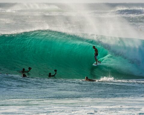 people surfing on waves